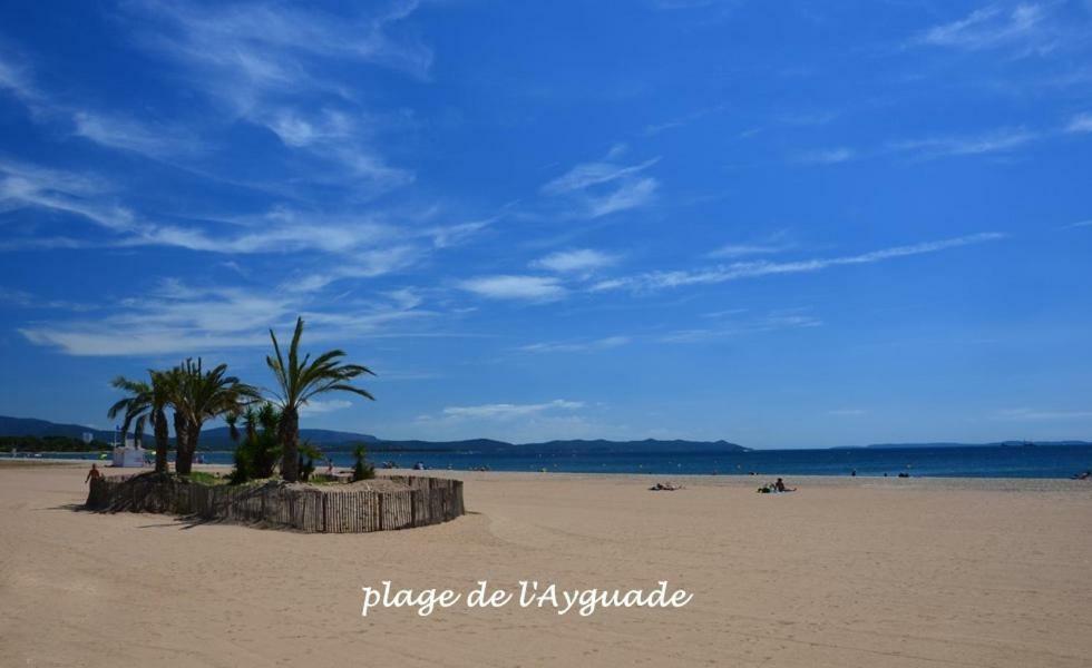 Plage A 400 M Studio Tout Confort Terrasse Clim Parking Єр Екстер'єр фото